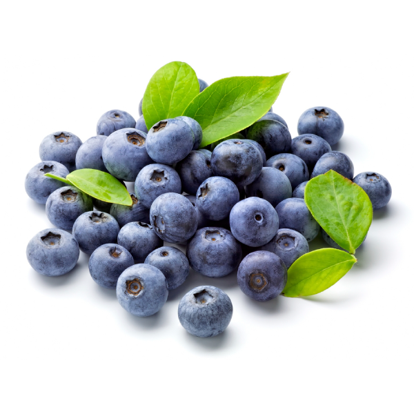 Blueberries on a white background